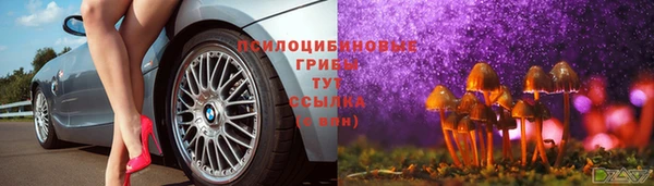 соль курить ск Осинники
