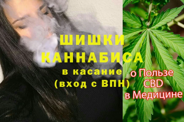 PSILOCYBIN Баксан