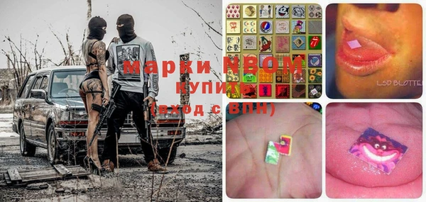 PSILOCYBIN Баксан