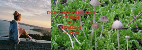 PSILOCYBIN Баксан