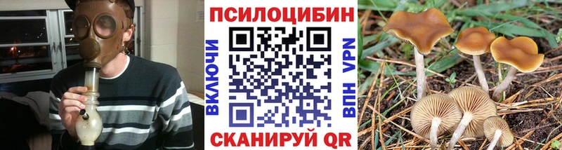 Псилоцибиновые грибы Psilocybe  blacksprut зеркало  Кушва  где можно купить наркотик 